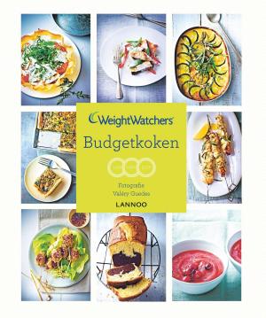 Cover of the book Budgetkoken by Agata Naiara