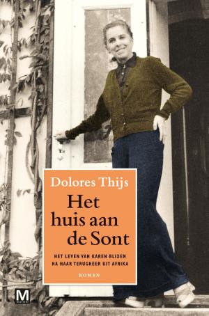 Cover of the book Het huis aan de Sont by Roel Thijssen