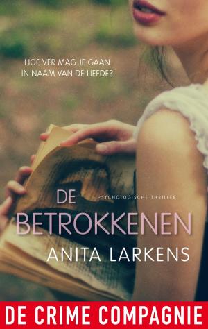 Cover of the book De betrokkenen by Anne Nicolai