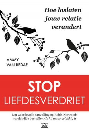 Cover of the book Stop liefdesverdriet by Marjan van den Berg