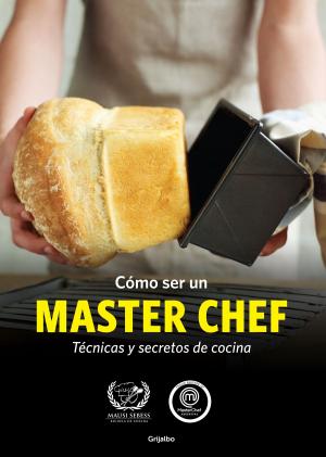 Cover of the book Cómo ser un MASTER CHEF by Santiago García