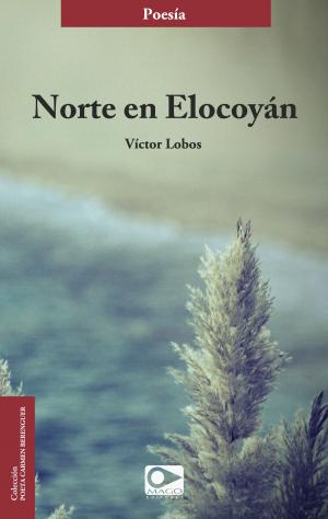 Cover of the book Norte en Elocoyán by Jaime Quezada Ruiz