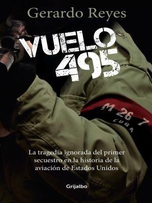 Cover of the book Vuelo 495 by Annie Rehbein De Acevedo