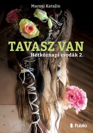 Book cover of Tavasz van