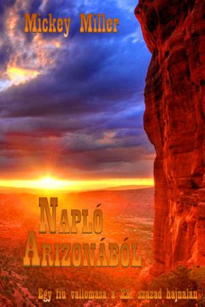 Cover of the book Napló Arizonából by Lawrence J. Andrews