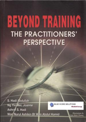 Book cover of Beyond Training: The Practitioners' Perspective