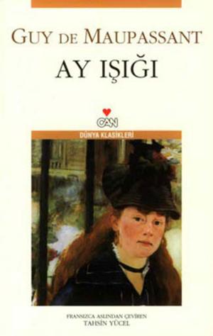 Cover of the book Ay Işığı by Tahsin Yücel