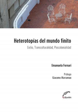 Cover of the book Heterotopías del mundo finito by Gustavo  Bitar Tacchi