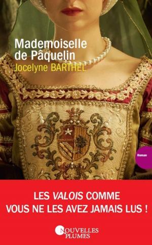 Cover of the book Mademoiselle de Pâquelin by Angelina Delcroix