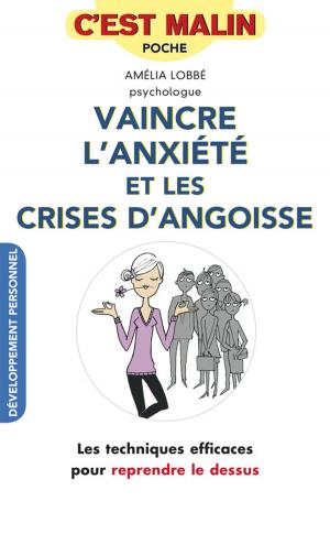 Cover of the book Vaincre l'anxiété et les crises d'angoisse, c'est malin by Lucile Woodward