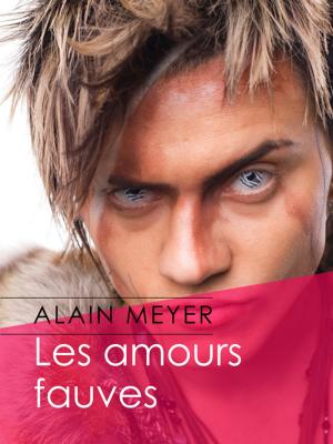 Cover of the book Les amours fauves by Christophe Fotsix
