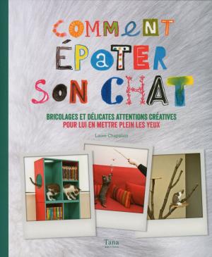 Cover of the book Comment épater son chat by Laurent BREITBACH, Valérie FIEFFE, Françoise LE BROZEC