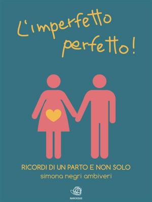 Cover of the book L'Imperfetto perfetto! by Ann R. Sutton