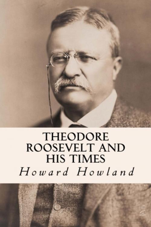 Cover of the book Theodore Roosevelt and His Times by Howard Howland, True North