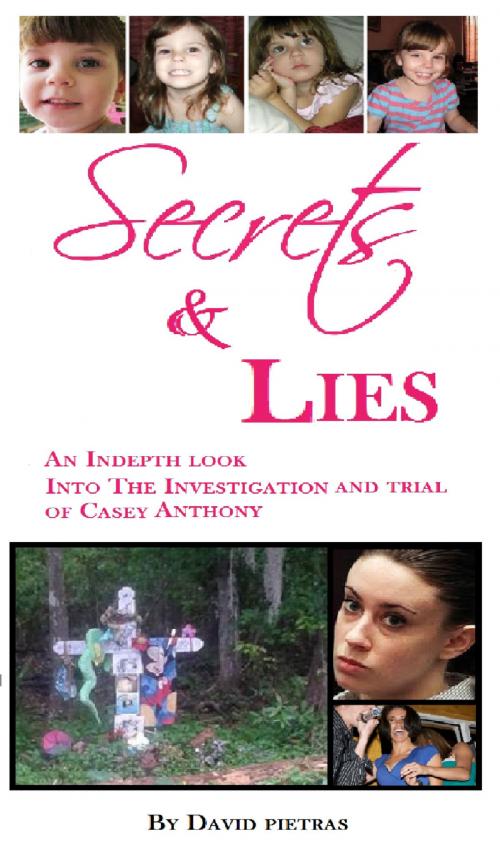 Cover of the book Secrets & Lies by David Pietras, David Pietras