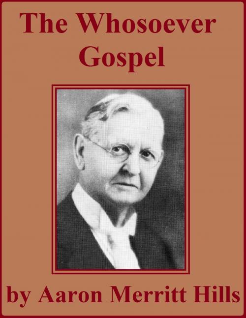 Cover of the book The Whosoever Gospel by Aaron Merritt Hills, Jawbone Digital