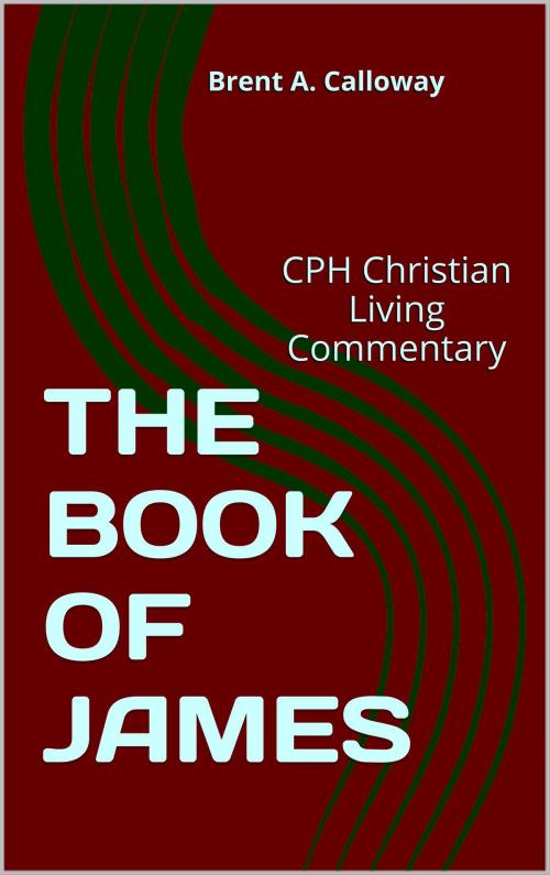 Cover of the book THE BOOK OF JAMES by Brent A. Calloway, Christian Publishing House
