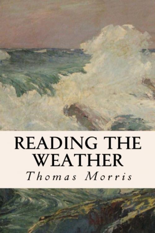 Cover of the book Reading the Weather by Thomas Morris, True North
