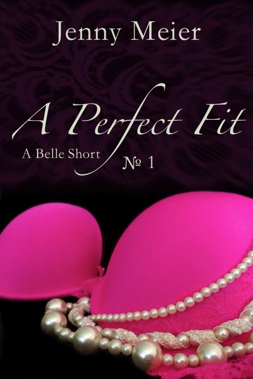 Cover of the book A Perfect Fit by Jenny Meier, Jenny Meier