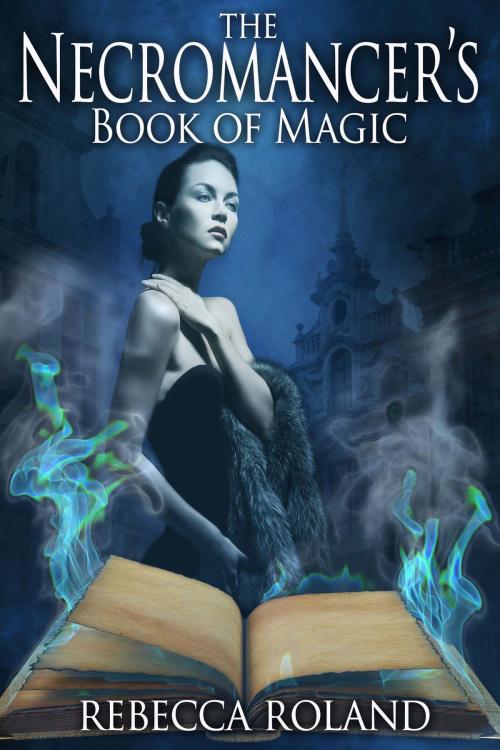 Cover of the book The Necromancer's Book of Magic by Rebecca Roland, And Then Publications