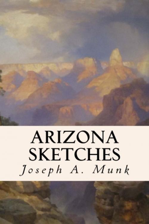 Cover of the book Arizona Sketches by Brian Westland, True North
