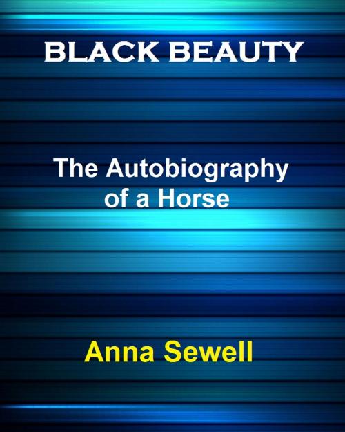 Cover of the book Black Beauty by Anna Sewell, Variety Books