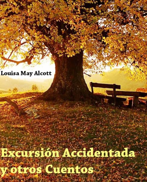 Cover of the book Excursión Accidentada y otros Cuentos by LOUISA M. ALCOTT, Miguel Marietan