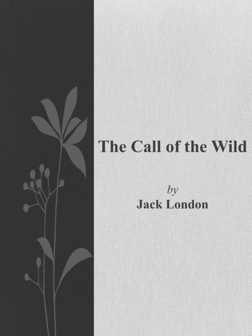 Cover of the book The Call of the Wild by Jack London, Studium Legis