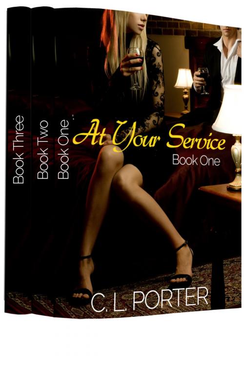 Cover of the book My Naughty Consultation: A Short Sex Story in the Lawyer's Office by C. L. Porter, C. L. Porter