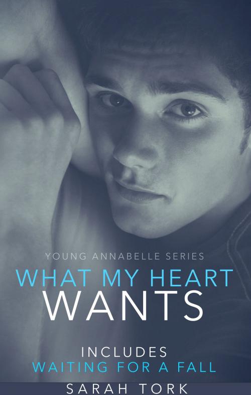 Cover of the book What My Heart Wants by Sarah Tork, Sarah Tork