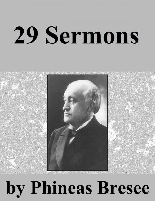 Cover of the book 29 Sermons by Phineas F. Bresee, Jawbone Digital