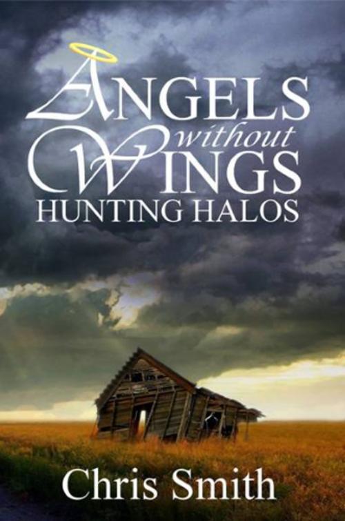 Cover of the book Hunting Halos by Chris Smith, Angel Meadows