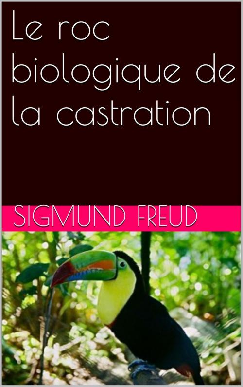 Cover of the book Le roc biologique de la castration by Sigmund Freud, NA