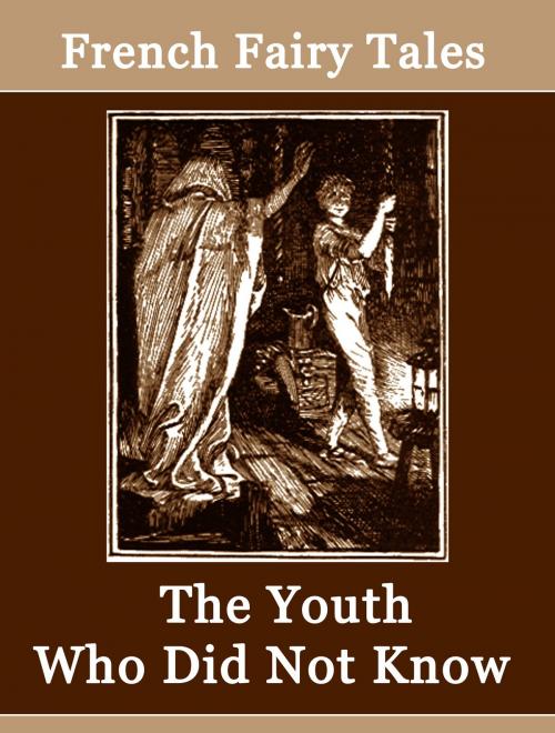 Cover of the book The Youth Who Did Not Know by French Fairy Tales, Media Galaxy