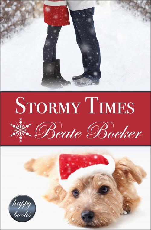 Cover of the book Stormy Times by Beate Boeker, Beate Boeker