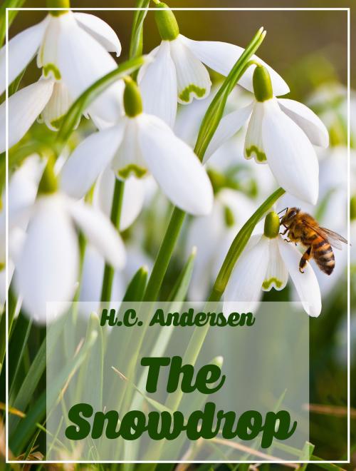 Cover of the book The Snowdrop by H.C. Andersen, Media Galaxy