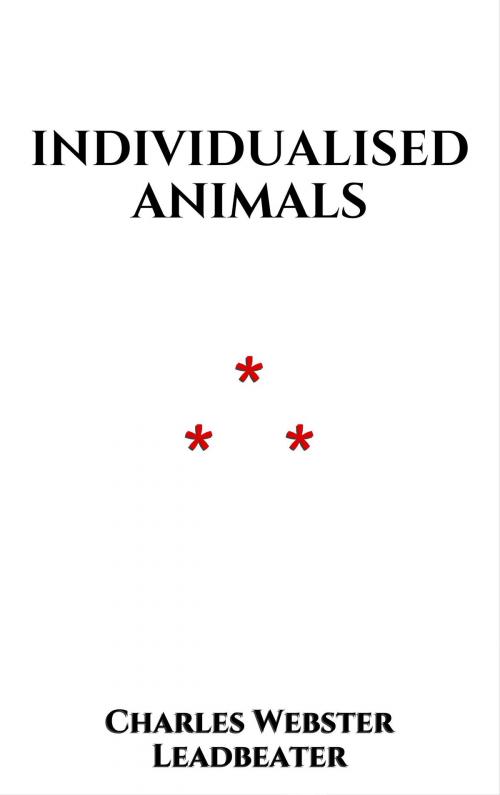 Cover of the book Individualised Animals by Charles Webster Leadbeater, Edition du Phoenix d'Or