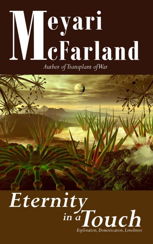 Cover of the book Eternity in a Touch by Meyari McFarland, Mary Raichle