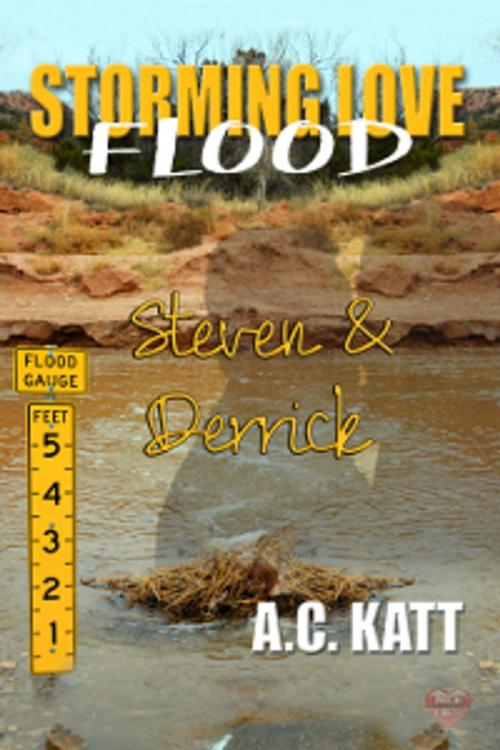 Cover of the book Steven & Derrick by A.C. Katt, MLR Press