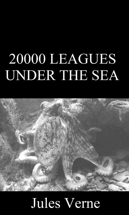 Cover of the book 20000 Leagues Under the Sea by Jules Verne, Timeless Chapters