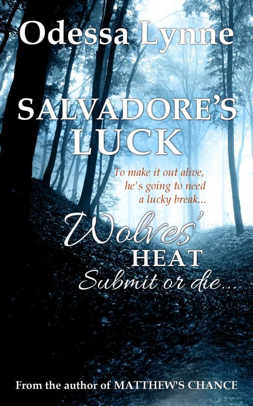 Cover of the book Salvadore's Luck by Odessa Lynne, Odelyn Publishing
