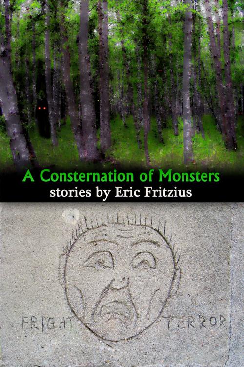 Cover of the book A Consternation of Monsters by Eric Fritzius, Mister Herman's Publishing Company