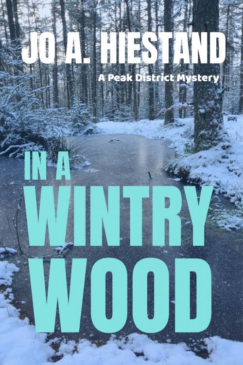 Cover of the book In A Wintry Wood by Jo A Hiestand, Cousins House