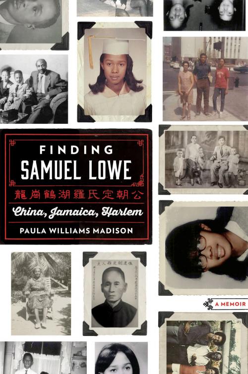 Cover of the book Finding Samuel Lowe by Paula Williams Madison, Amistad
