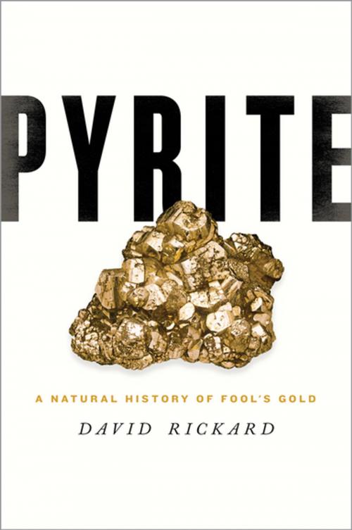 Cover of the book Pyrite by David Rickard, Oxford University Press