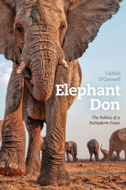 Cover of the book Elephant Don by Caitlin O'Connell, University of Chicago Press