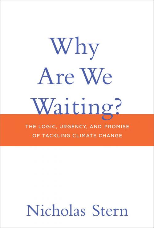 Cover of the book Why Are We Waiting? by Nicholas Stern, The MIT Press