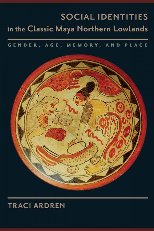 Cover of the book Social Identities in the Classic Maya Northern Lowlands by Traci Ardren, University of Texas Press