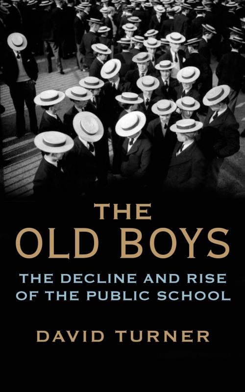 Cover of the book The Old Boys by David Turner, Yale University Press