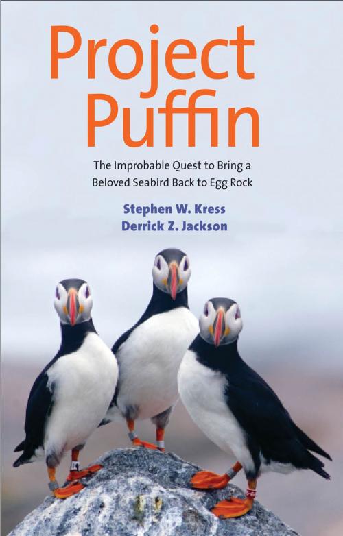Cover of the book Project Puffin by Stephen W. Kress, Derrick Z. Jackson, Yale University Press